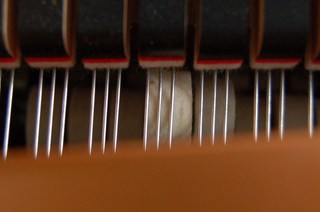 DSC_0263.JPG
