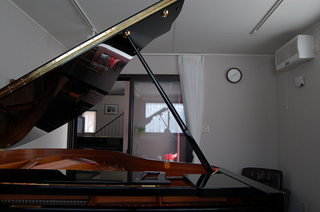 DSC_0272.JPG