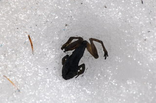 DSC_0418.JPG
